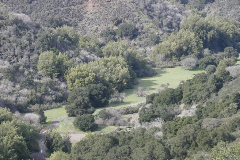 an overhead view of a forested area in the mountains