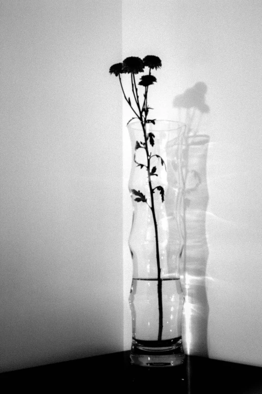 a black and white po with some flowers in a vase