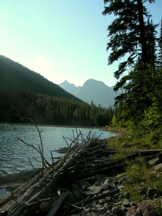 a boat sitting on top of a lake next to trees