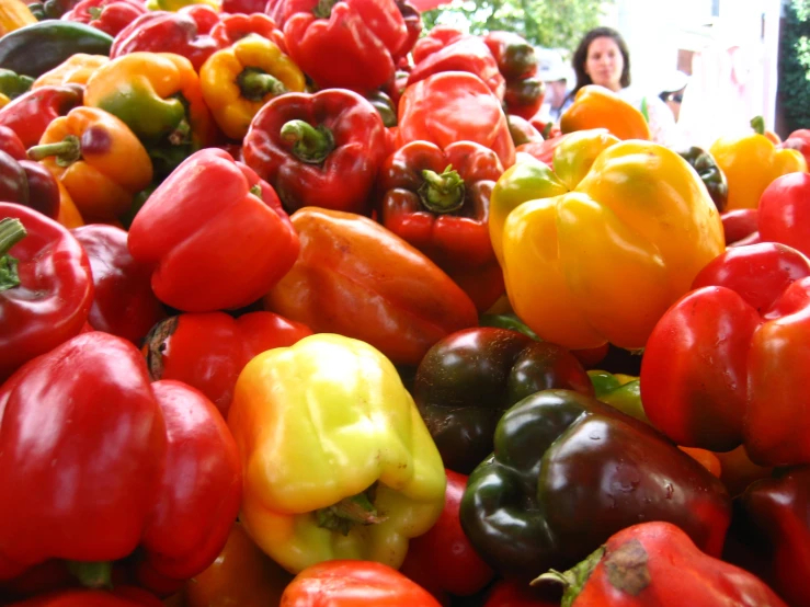 a lot of different colored peppers displayed