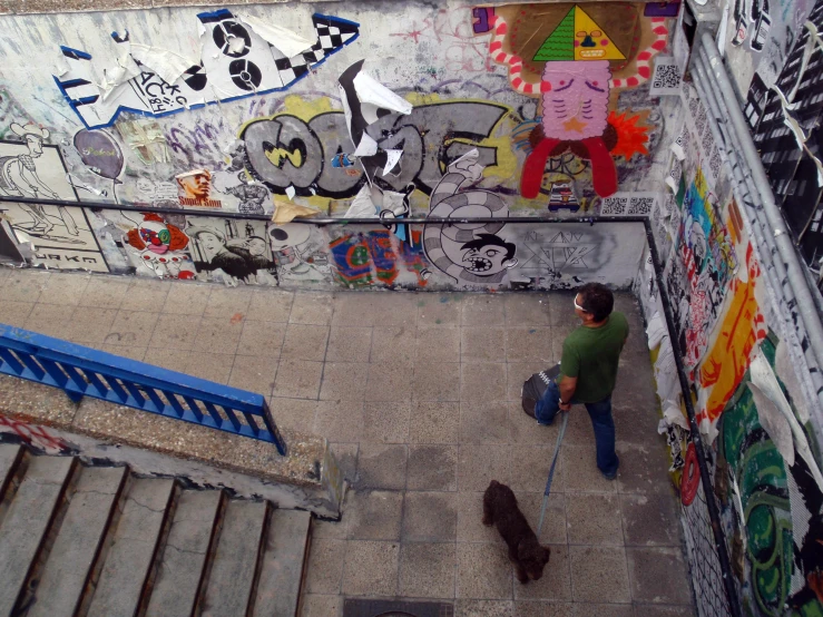 man walking down stairs near painted wall and dog