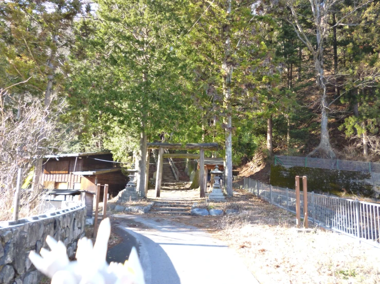 there is an entrance to a forest that leads to a bridge