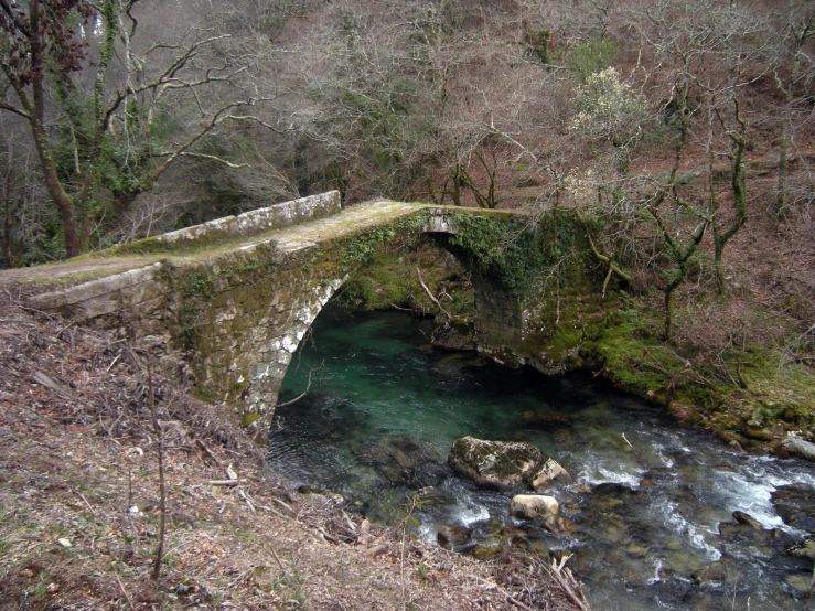 a bridge crosses over a river in the woods