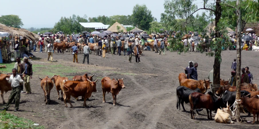 several men walk down the road while others stand in the background