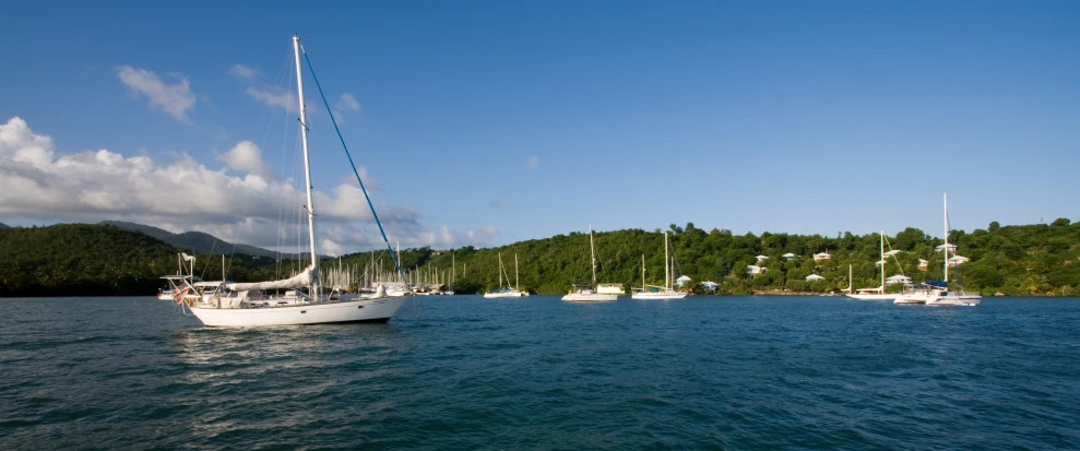 small boats and trees in the water on a clear day