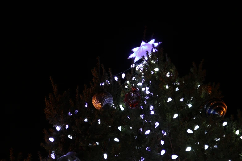 a lit christmas tree lit up at night