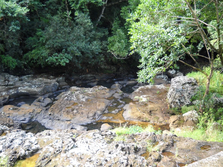 rocks, trees and water along a river in the jungle