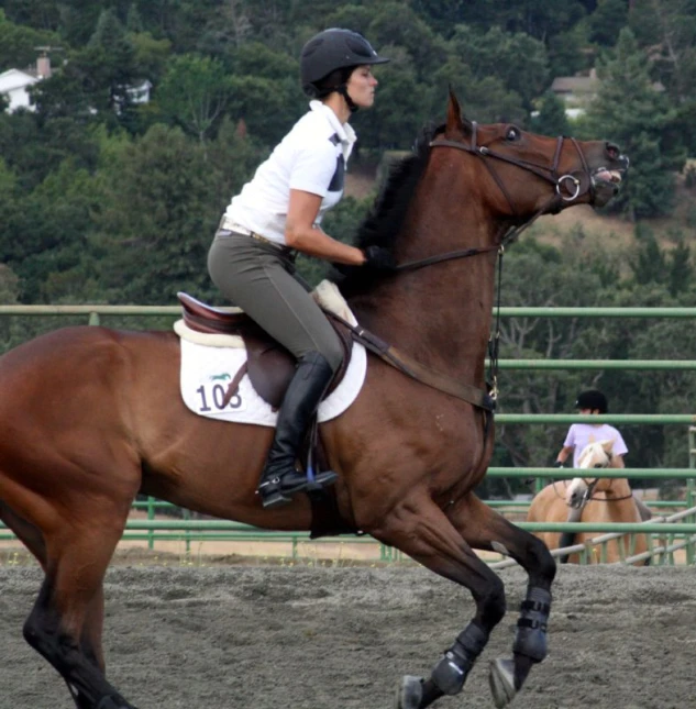 the rider is riding her horse around the ring