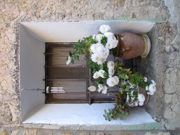 there are many flowers that are in the window sill