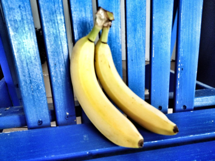 there is two bananas on the bench