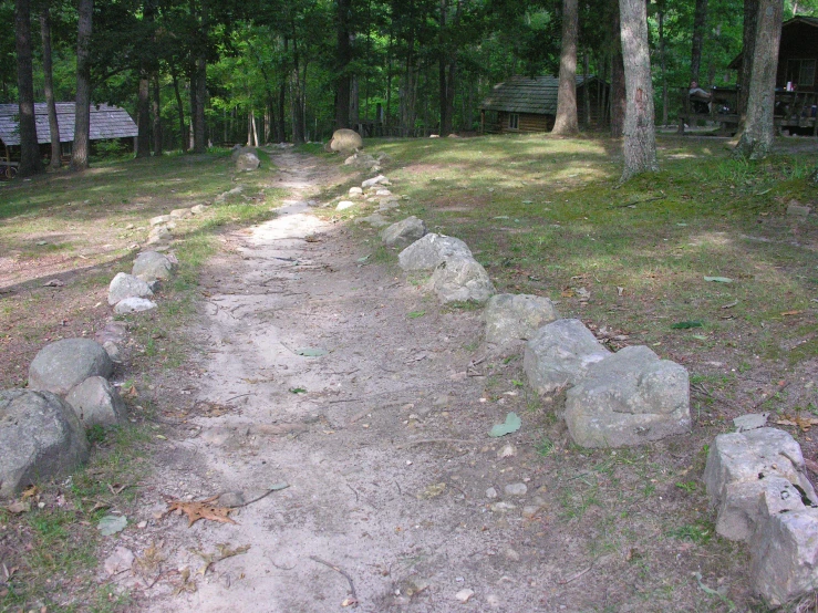 an empty trail in the forest surrounded by rocks