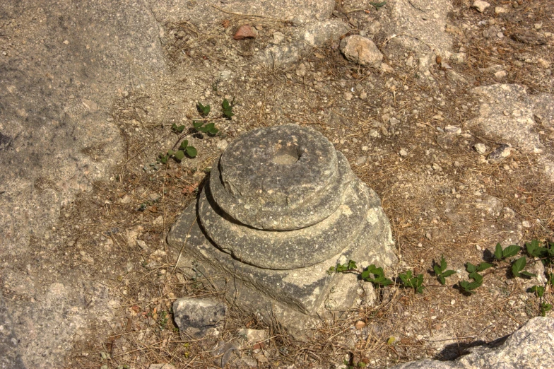 a rock formation with plants growing from it