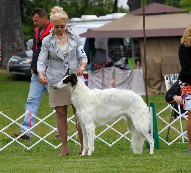 a woman showing a dog a show in a park