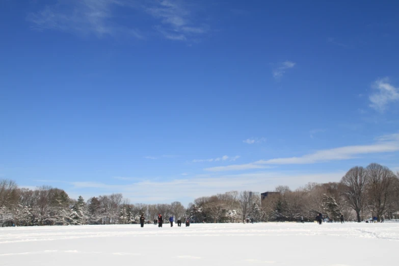 several people skiing in the snow with blue skies