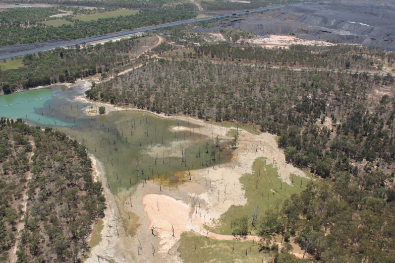 an aerial view shows a forest and river