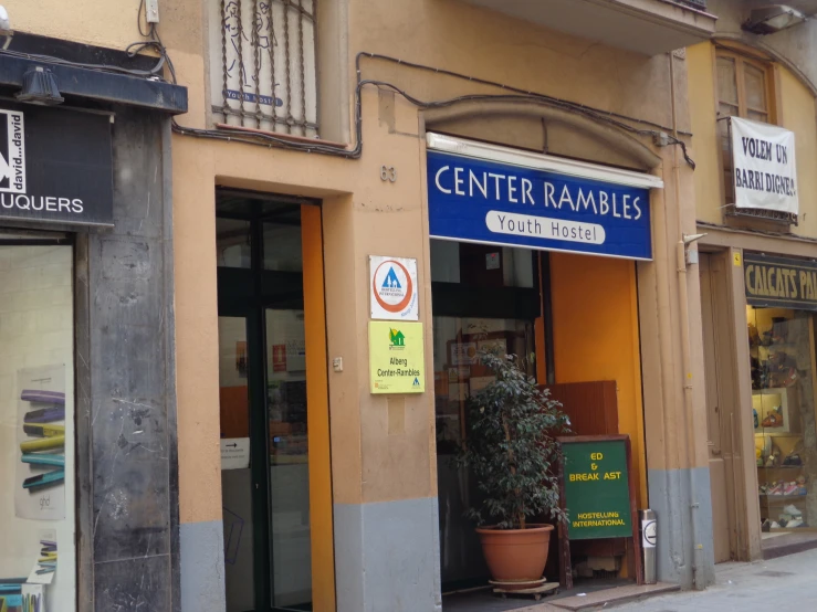 a street corner with signs and plants in the corner