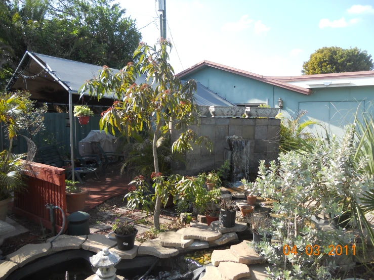 a garden with many plants in pots around a fire hydrant