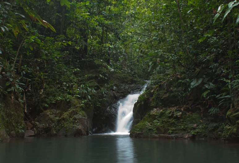 there is a small waterfall coming from a cliff