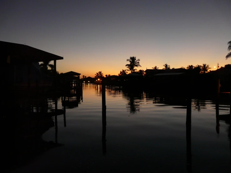 a water way with buildings and palm trees