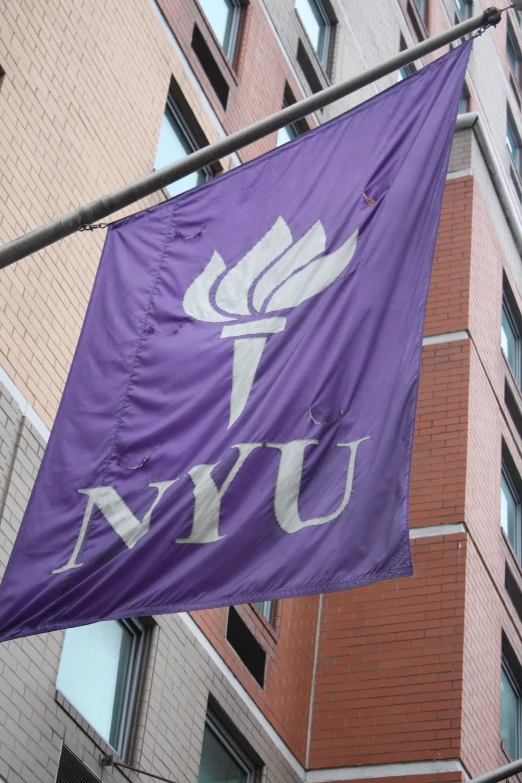 a purple flag hangs from a pole