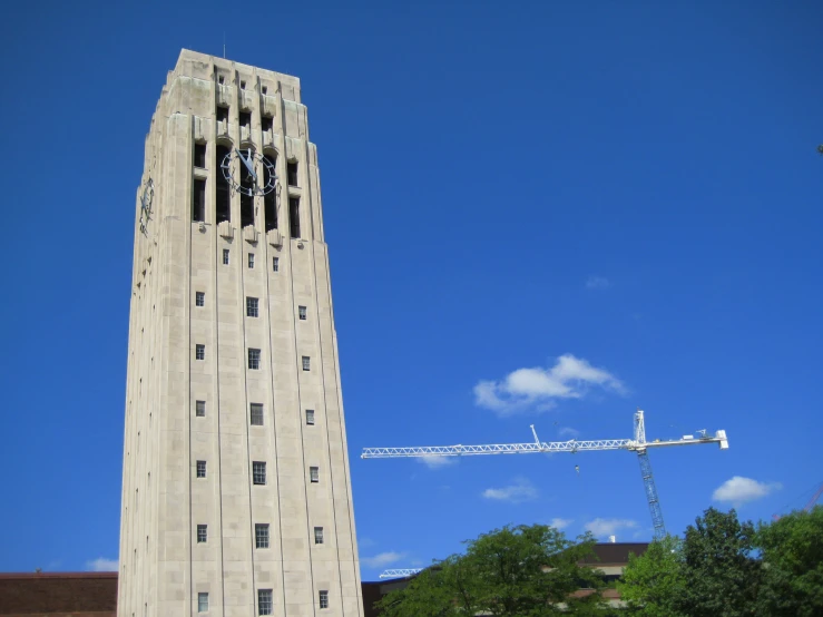 there is a tower clock built near a tree