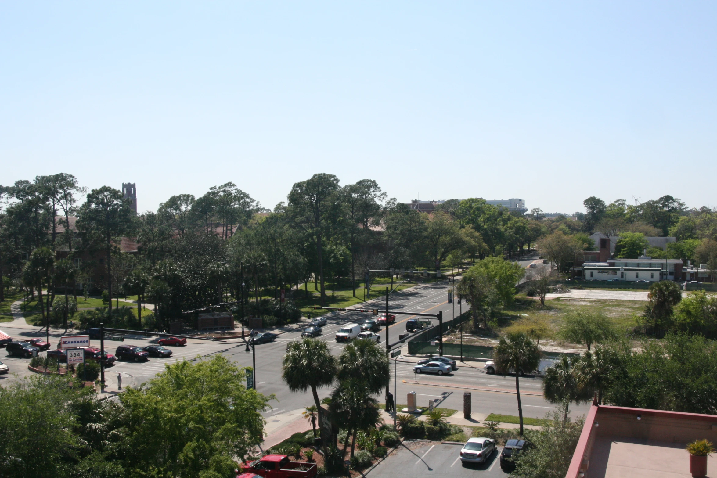 traffic and trees on a bright, sunny day