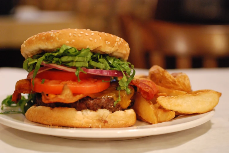 a plate of fries and a burger