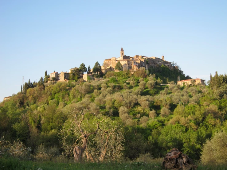 a hill has many trees and bushes on top