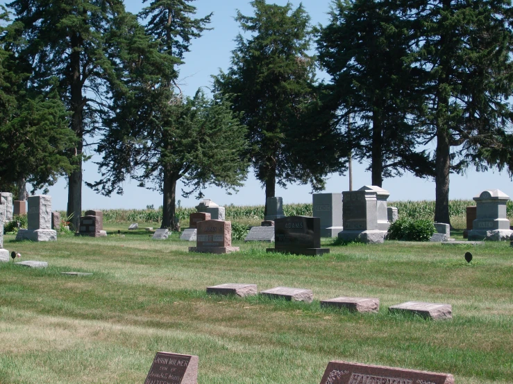 a cemetery in the middle of a field full of headstones