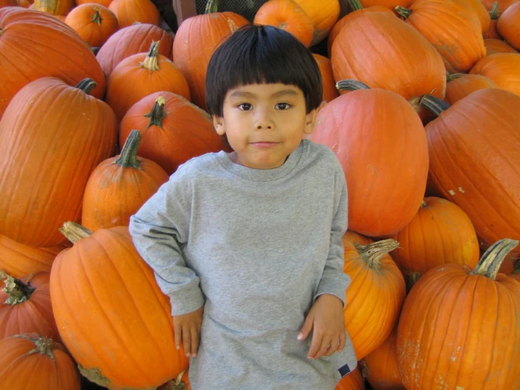a  standing amongst many large pumpkins