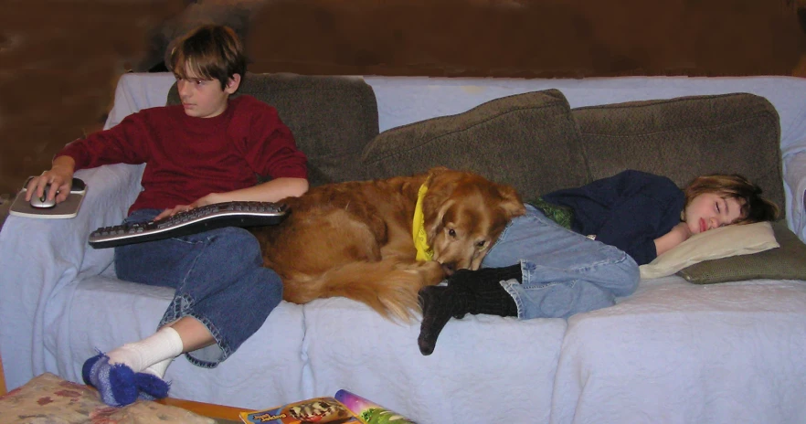 a couple of people with some dogs on a couch