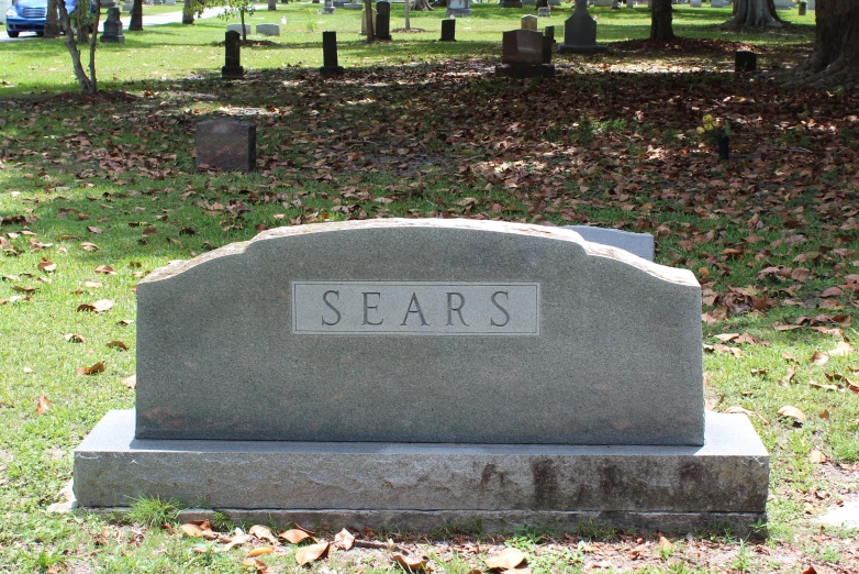 the headstone of some graves with leaves in front of them