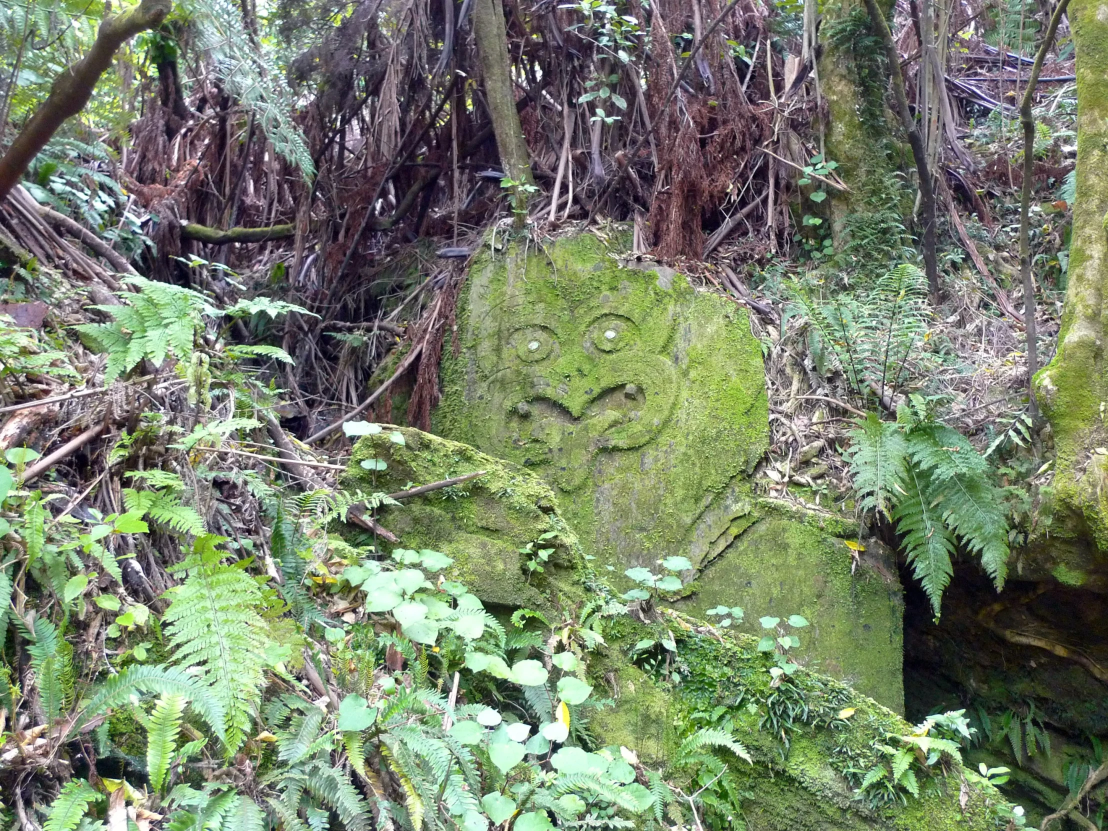 the head is made of moss in the forest