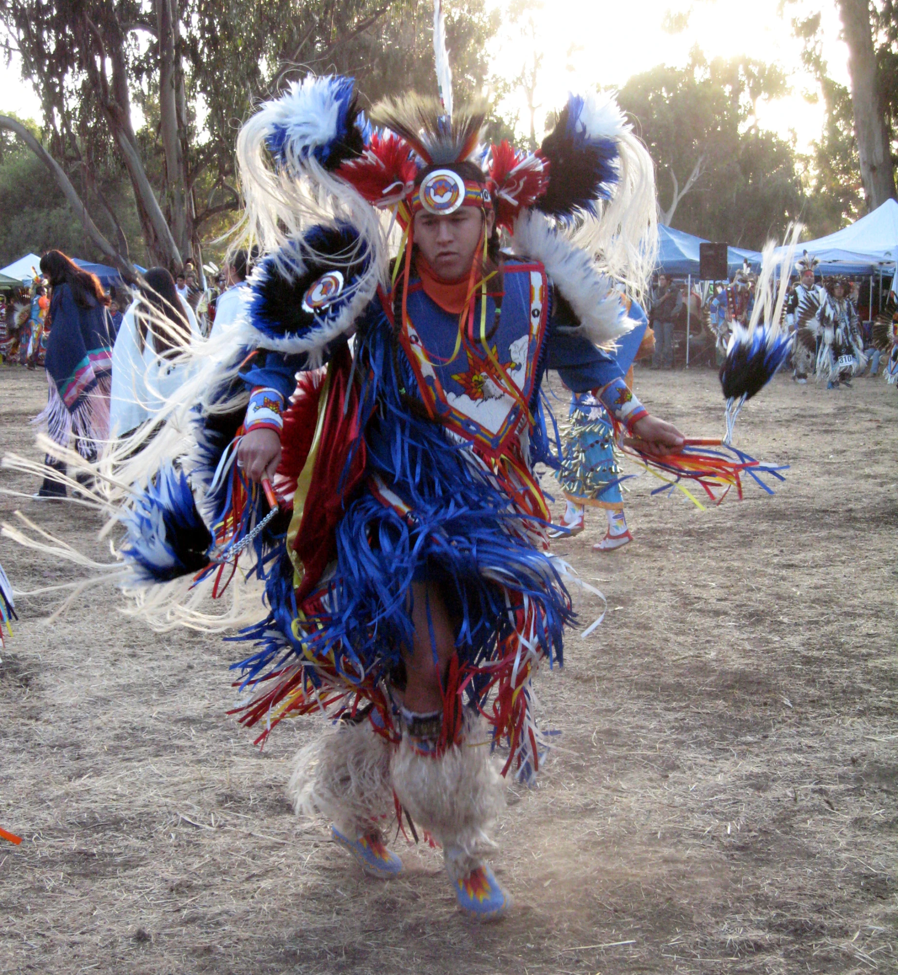 a man dressed in a costume, carrying feathers on his arm