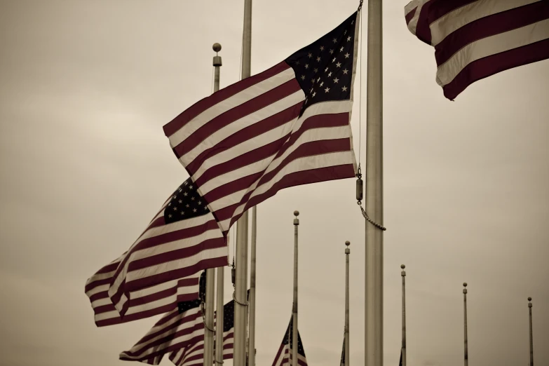 some american flags blowing in the wind under a cloudy sky