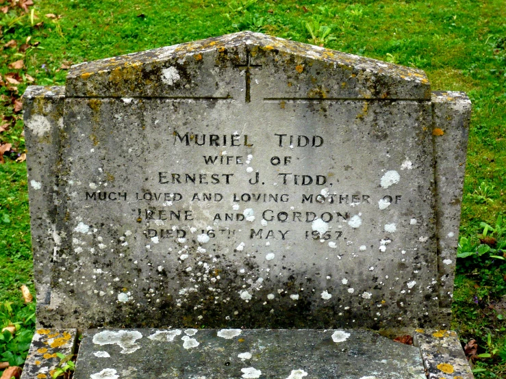 a headstone on the grass with a marker