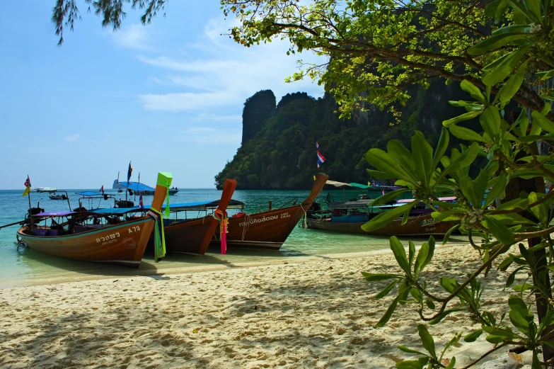 two canoes with flags are on the beach