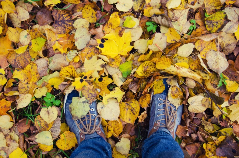 man standing in yellow leaves and blue shoes
