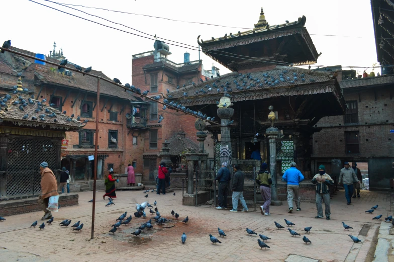 many pigeons are roaming around this small, ornate village