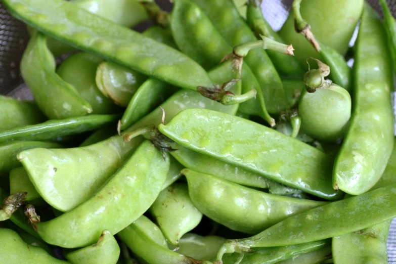 green beans are shown with green pea pods