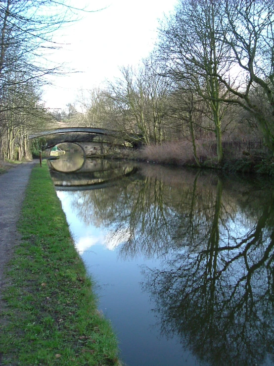 a river that has some trees and a bridge on it