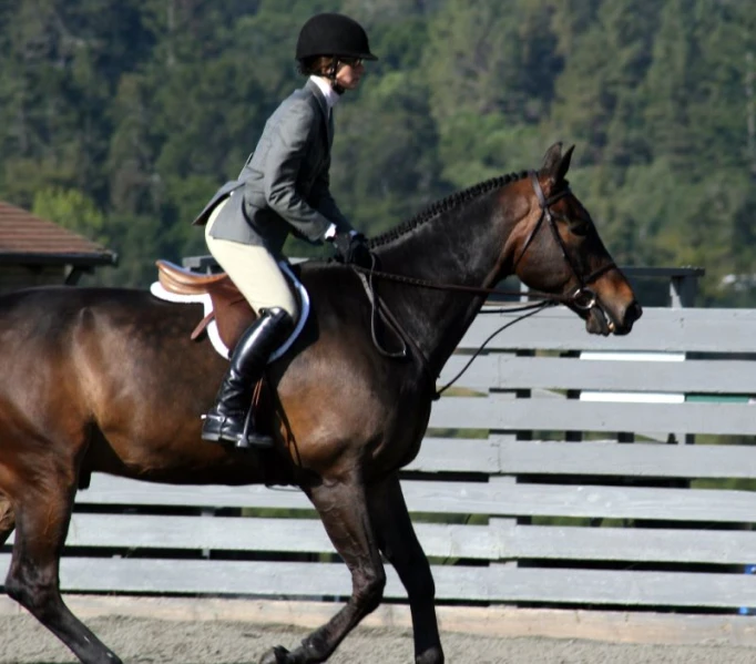 a woman on top of a horse in an equestrian event