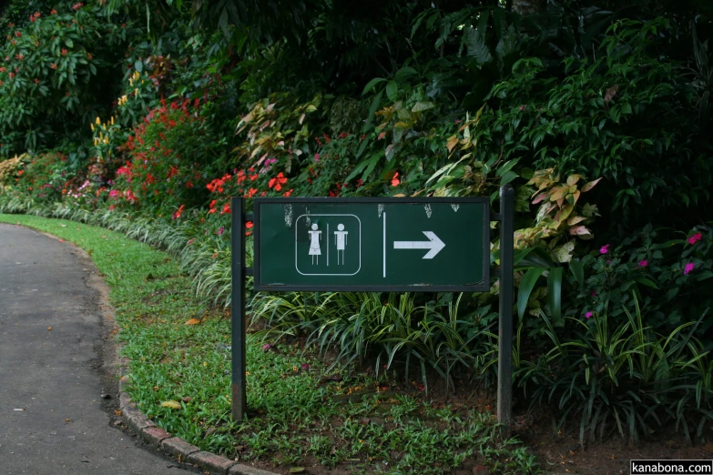 a road sign with trees in the background