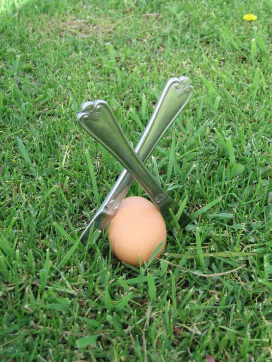 the eggs and silver utensils are stuck in the grass