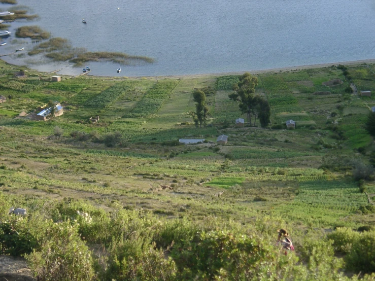 a lush green valley on top of a hill with trees and houses