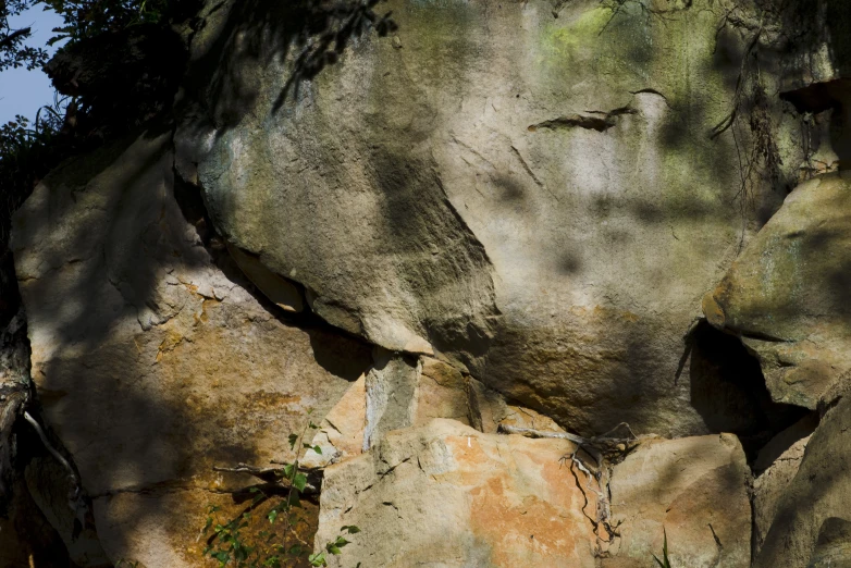 a bird perched on top of a stone rock