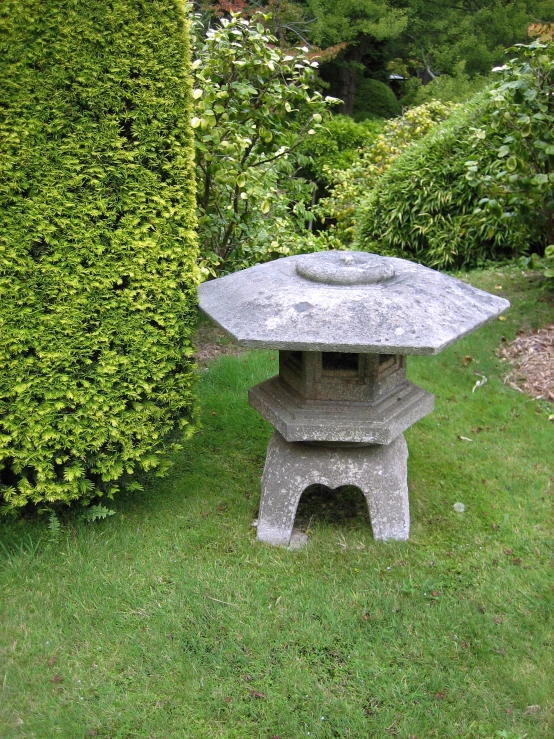 a gray garden bench surrounded by a tall shrub