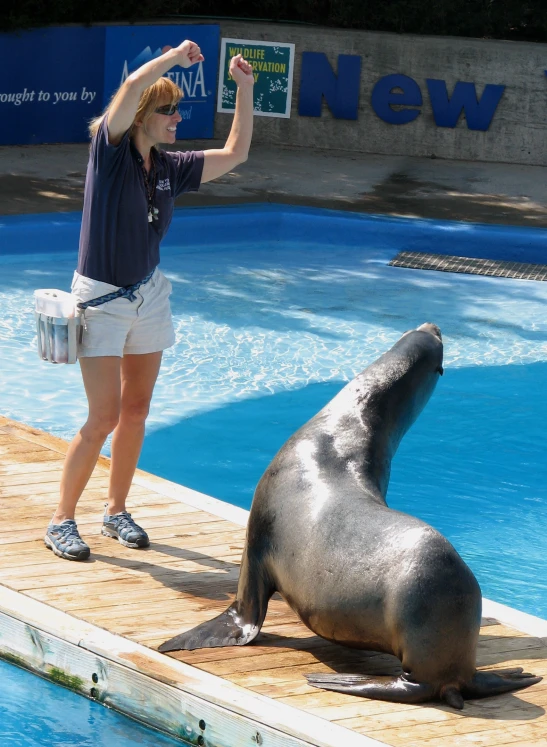 woman standing next to a sea lion in an enclosure