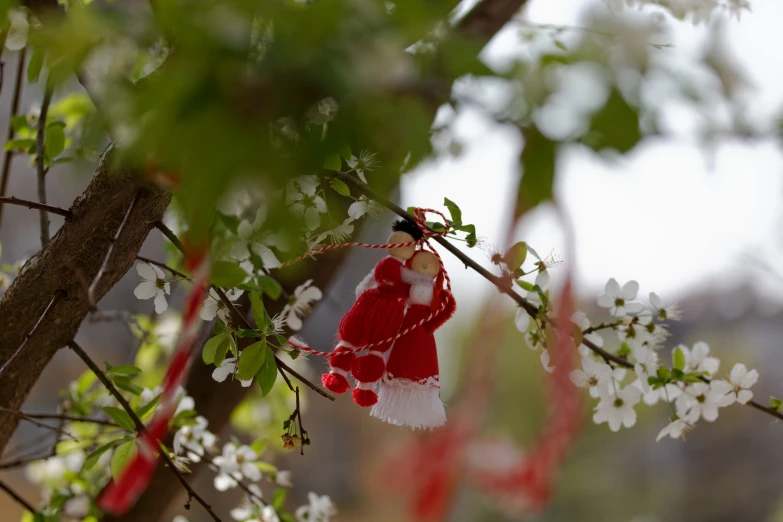 the tree has some kind of small red and white ornament hanging on it