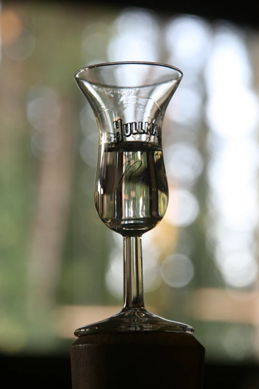 a wine glass on a stand with the words wine in it